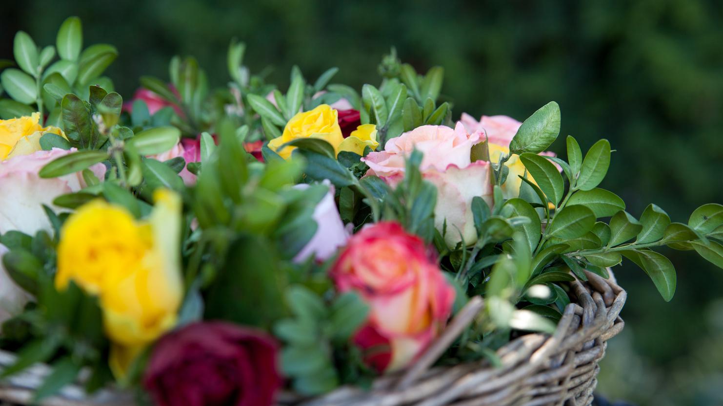 Bunte Rosen in einem geflochtenen Korb, umgeben von grünen Blättern, vor unscharfem, grünem Hintergrund.