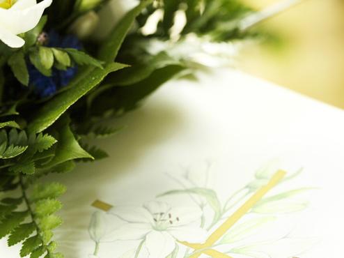 Detailansicht von weißen Blumen und grünem Blattwerk neben einer handgezeichneten Blumenillustration mit goldener Akzentlinie.